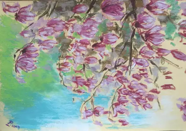 Fleurs de magnolia aux pastel sec sur pastelmat 40 50 cm