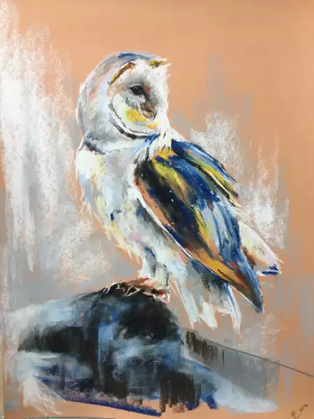 La chouette au pastel sec sur pastelmat 50-70 cm